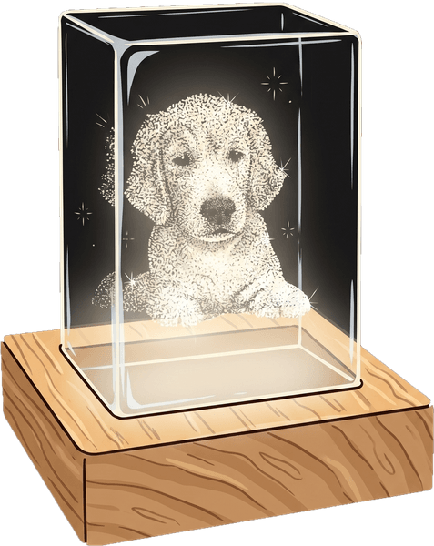 3D Crystal Photos